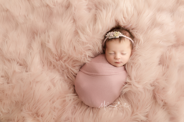 specialist newborn photography