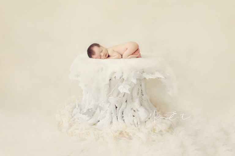 newborn photography Bristol