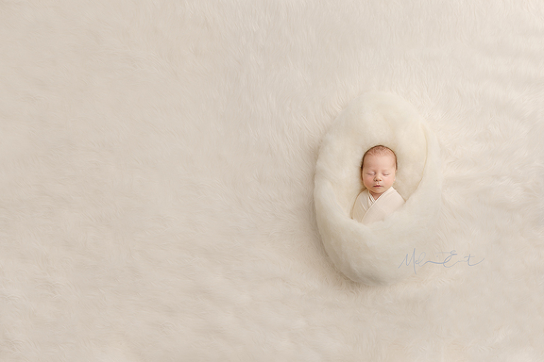 newborn photography experience